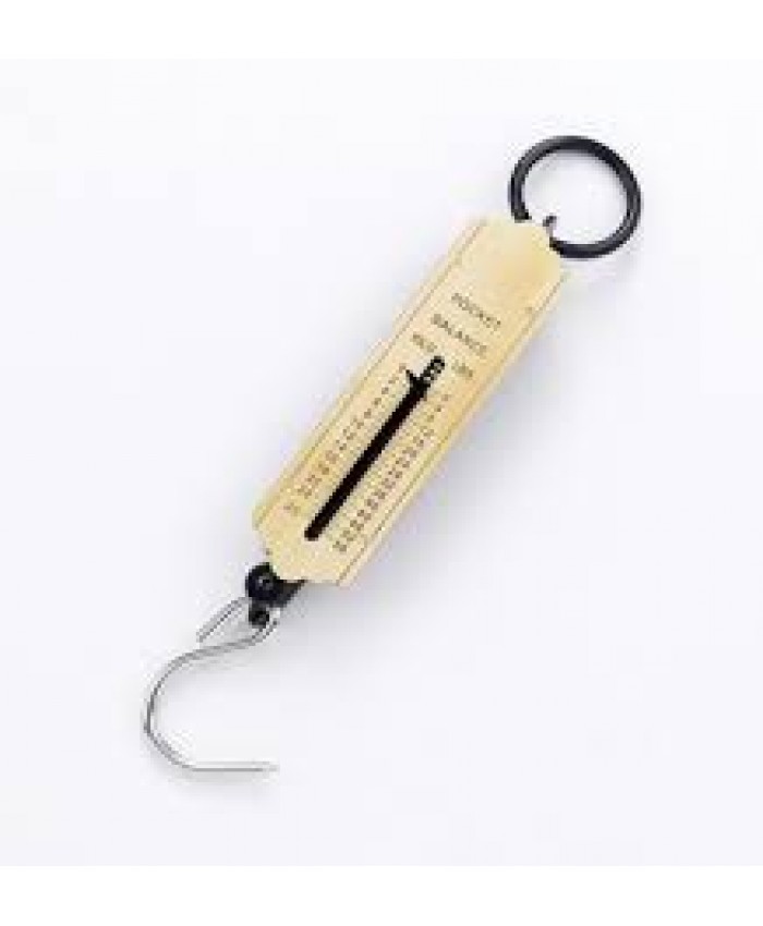 Lincoln Spring Balance