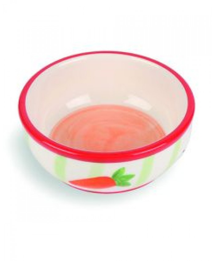 Carrot Stripe Pet Bowl