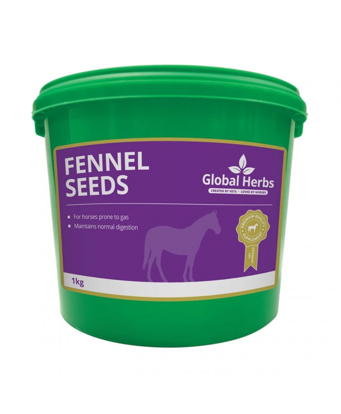 Global Herbs Fennel Seeds