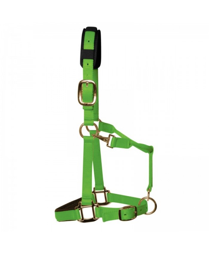 HY Grand Prix Headcollar Green