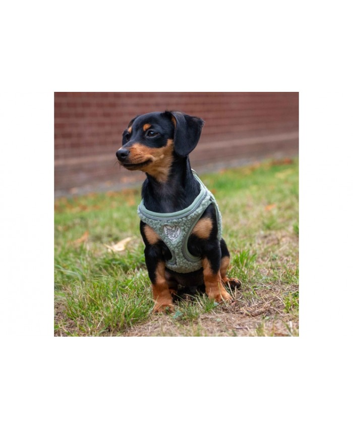 Ancol Small Bite Teddy Bear Harness