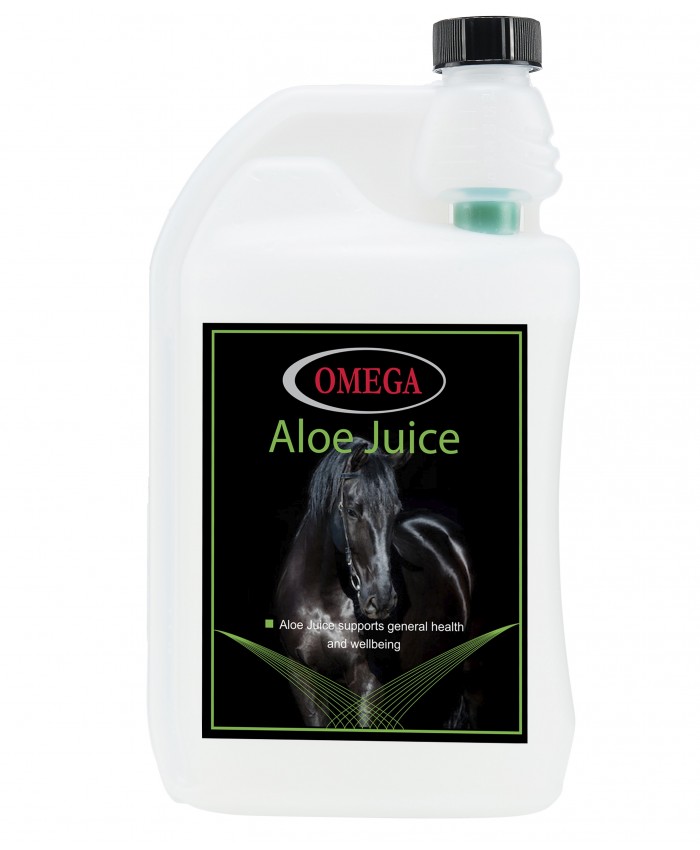 Omega Aloe Juice
