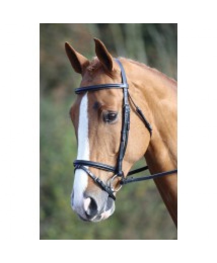 Aviemore Raised Flash Bridle