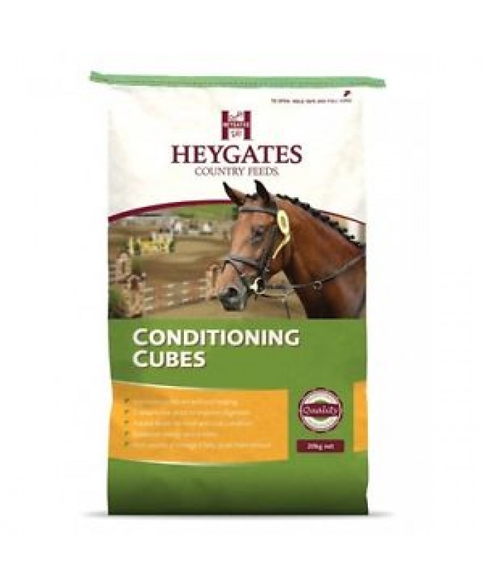 Heygates Conditioning Cubes