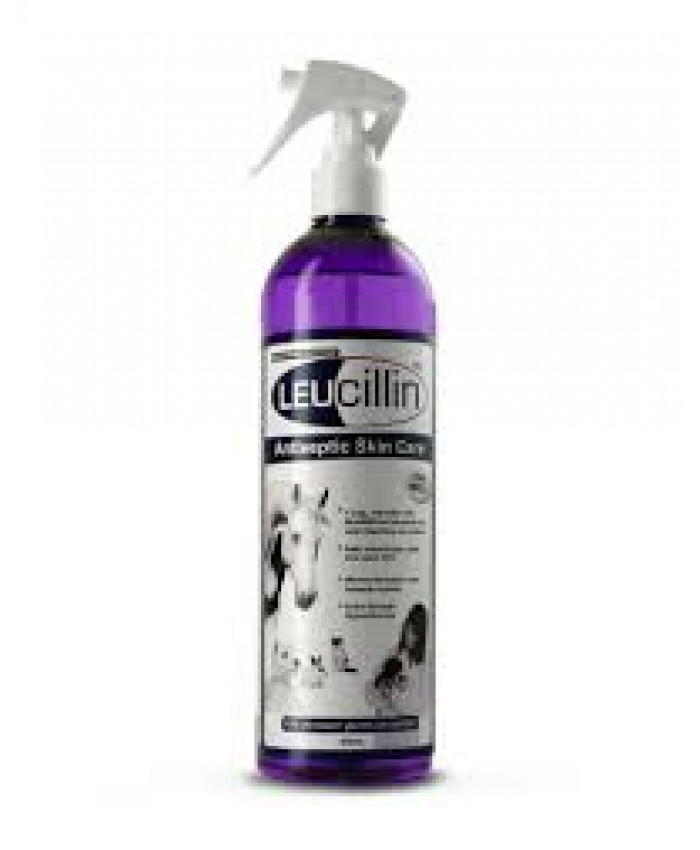 Leucillin Anti-Bacterial, Anti-Viral and Anti-Fungal Spray 250ml