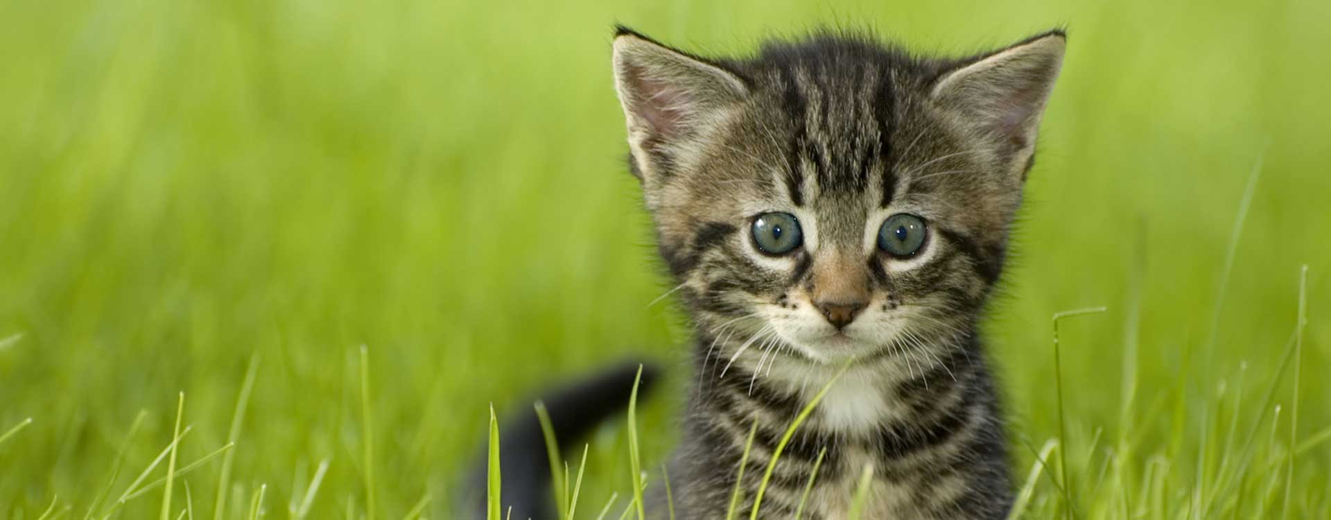 Leeders Animal Supplies