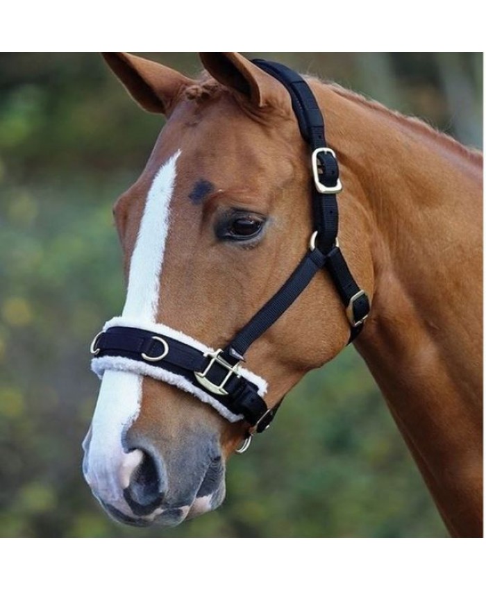 Shires Fleece Lined Lunge Cavesson