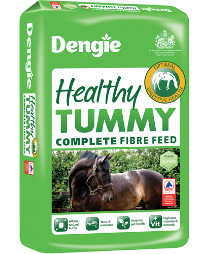 Dengie Healthy Tummy