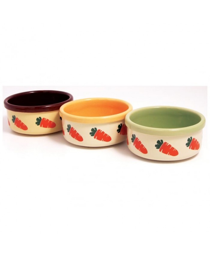 Rosewood Carrot Design Ceramic Bowl