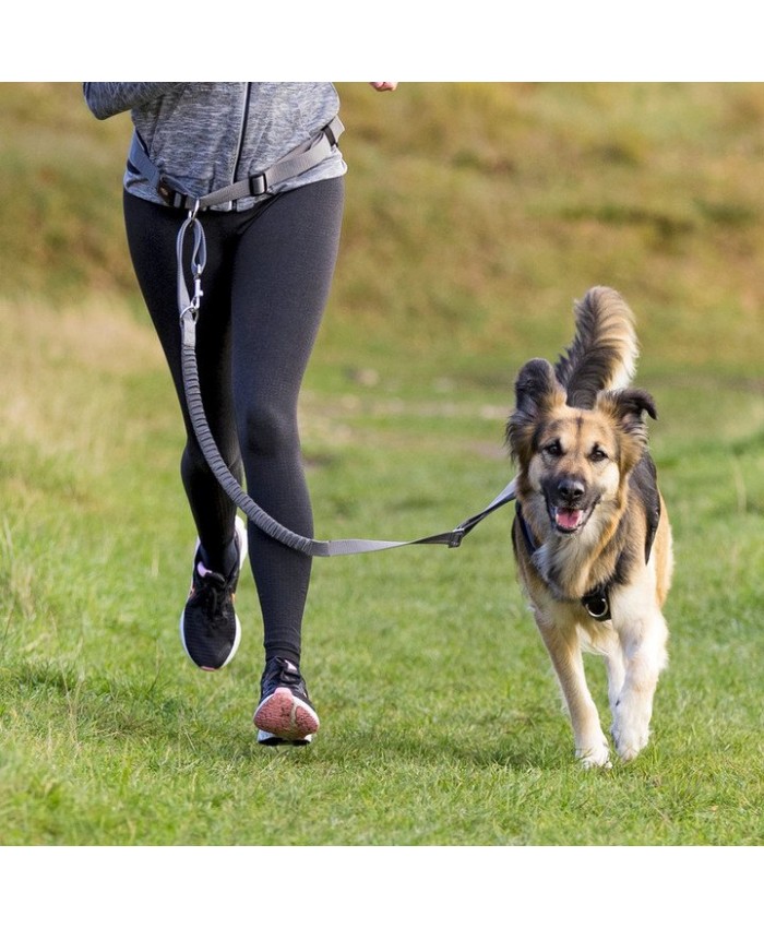 Trixie Waist Belt with Leash for Medium/Large Dogs Graphite/Black
